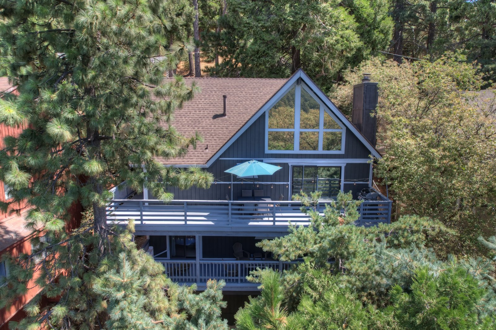 Cabin in the woods